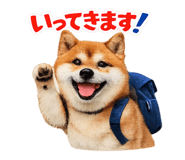 841872015