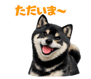 841872016