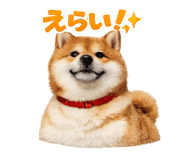 841872024