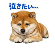 841872029