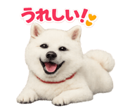 841872030