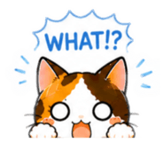 841872571