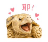 841873955