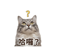 841875424
