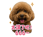 841875686