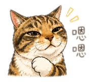 841875784