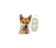 841877134