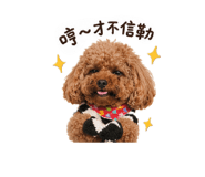 841880905