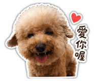 841880976