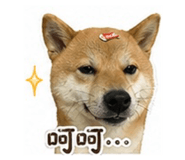 841881206