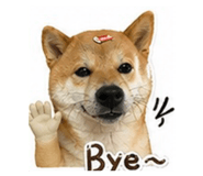 841881221