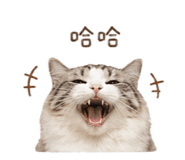 841881979