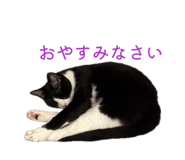 841883698