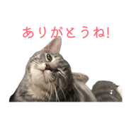 841883705
