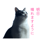 841883708