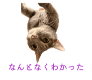 841883712