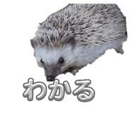 841883924