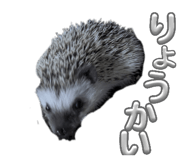 841883926