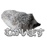 841883929