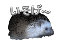 841883930