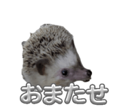 841883931