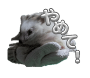 841883937