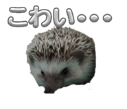 841883943
