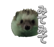 841883944