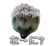 841883947