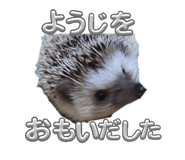 841883948