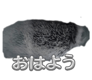 841883949