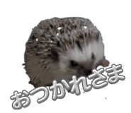 841883950