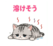 841884098