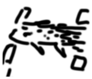 841886506