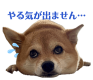 841886516
