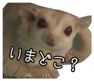 841886809