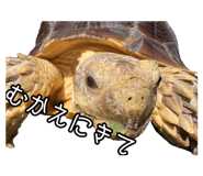 841886817