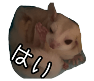 841886821
