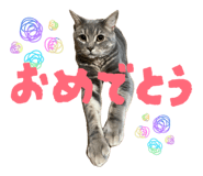 841887180