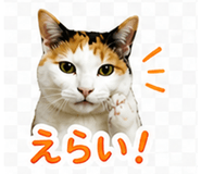 841889694