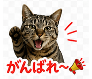 841889695