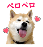 841890300