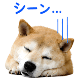 841890301
