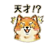 841890797