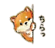 841890800