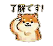 841890806