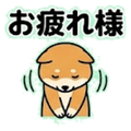841891606