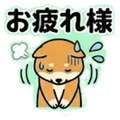841891625