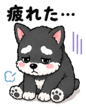 841891761