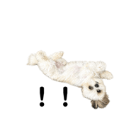 841892014